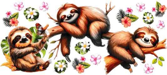 Sleeping Sloth