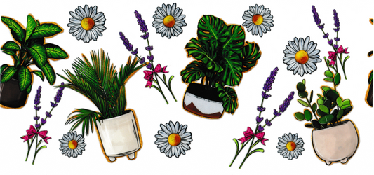 Potted Plants