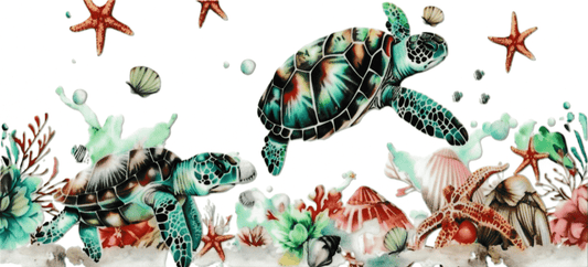 Turtles & Starfish